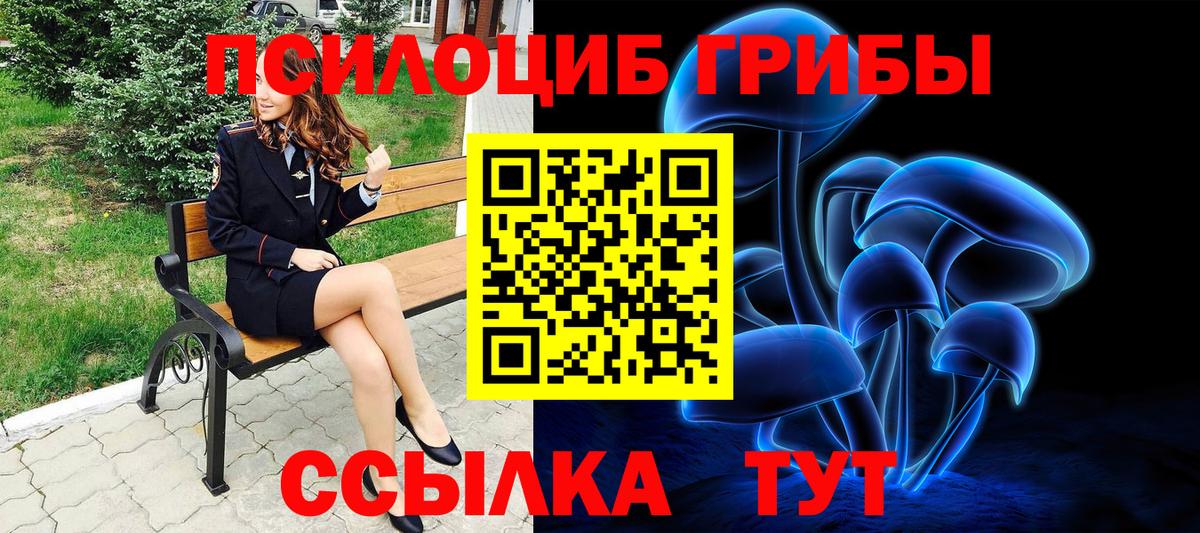 Подольск  Галлюциногенные грибы мухоморы  Вход с VPN 