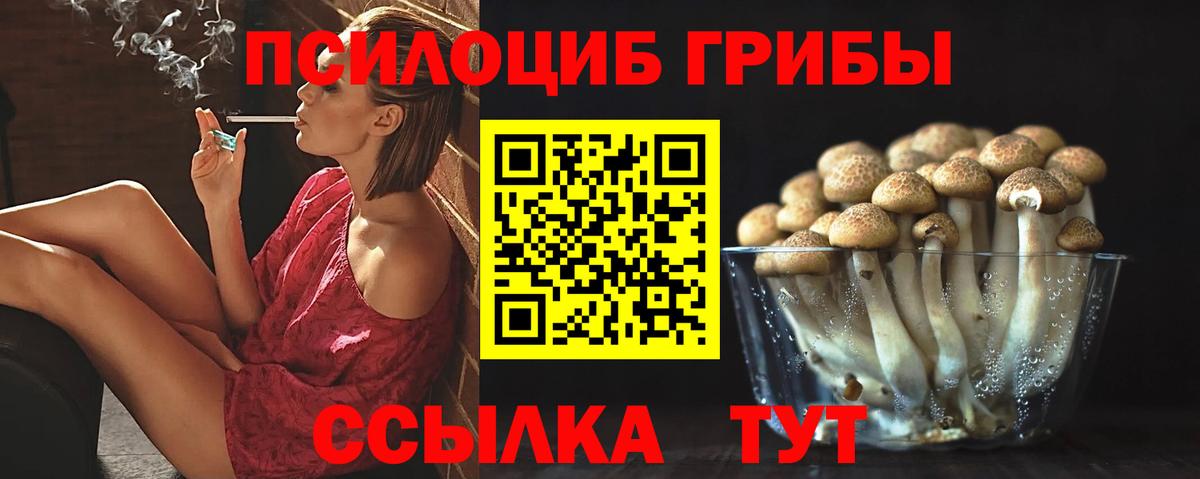 Псилоцибиновые грибы мухоморы Подольск